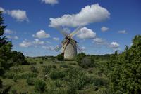 Gotland_Sankt_Olofsholm_Naturreservat (7)