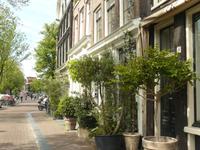 Amsterdam 6