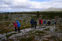 086 Femundsmarka Nationalpark