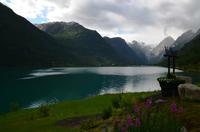 270 Blick über den Oldevatnet zum Jostedalsbreen