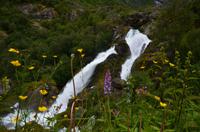 322 Briksdalsbreen, Wanderung zur Gletscherzunge