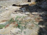 IMG_2253_heiße Quellen von Furnas