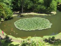 IMG_2266_Park Terra Nostra