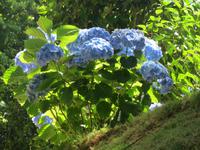 IMG_2267_Park Terra Nostra