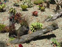 IMG_2269_Park Terra Nostra