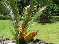 IMG_2271_Park Terra Nostra