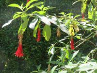 IMG_2272_Park Terra Nostra