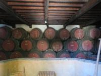 IMG_2382_Biscoitos, Weingut Brum