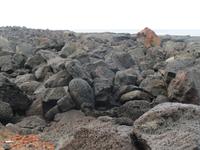 IMG_2432_Vulkangestein auf Pico