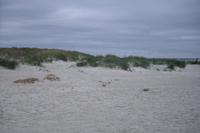 Strand in Dueodde - Bornholm