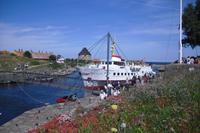 Ausflug zu den Erbseninseln