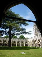 Salisbury Cathedral Kreuzgang