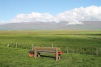 Besuch des Heimatmuseum - 