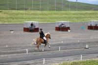 Reitturnier auf der Pferderennbahn