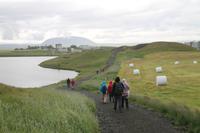 Rundgang am Mückensee - Myvatn