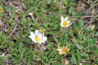 Spaziergang durch das Lavalabyrinth