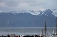 Hafen von Husavik 