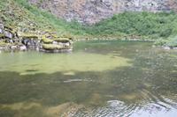 Schlucht von Asbyrgi