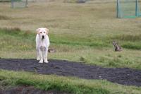 Kaffeepause am höchsten Bauernhof von Island - Möôrudalur