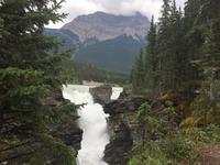 Die Athabasca Faelle