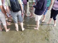 Es war angenehm für die Füße