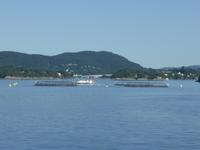 141-Bjoernafjord
