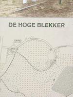 die höchste Düne Belgiens