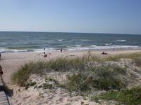 Badestrand auf der Kurischen Nehrung (Ostsee)