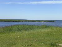 Auf der Insel Saaremaa bei Maasi