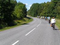 Radtour auf der Insel Saaremaa nach Angla