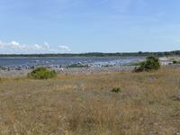 Panoramabild auf der Insel Saaremaa