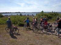 Radreisegruppe auf dem Weg nach Sääre