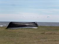 Sääre auf der Insel Saaremaa