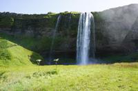 296 Seljalandsfoss