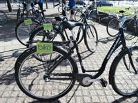 Fahrradausflug mit Bike Schweden