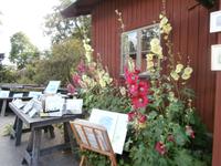 Fjäderholmarna Ausflug in die Schären