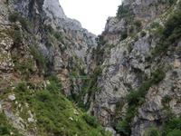 Single-Wanderreise in Nordspanien mit San Sebastian – Picos de Europa – Jakobsweg – Santiago de Compostela – Atlantikküste – Porto (186)