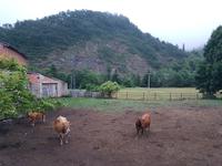 Single-Wanderreise in Nordspanien mit San Sebastian – Picos de Europa – Jakobsweg – Santiago de Compostela – Atlantikküste – Porto (218)