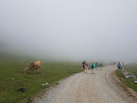 Single-Wanderreise in Nordspanien mit San Sebastian – Picos de Europa – Jakobsweg – Santiago de Compostela – Atlantikküste – Porto (345)