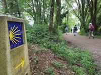 Single-Wanderreise in Nordspanien mit San Sebastian – Picos de Europa – Jakobsweg – Santiago de Compostela – Atlantikküste – Porto (421)