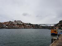 Single-Wanderreise in Nordspanien mit San Sebastian – Picos de Europa – Jakobsweg – Santiago de Compostela – Atlantikküste – Porto (559)