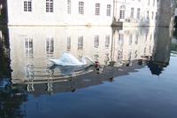 Schloss von Annevoie