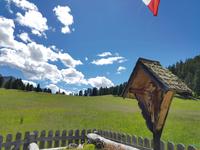 Wandern in Südtirol (Italien) – Dolomiten Wanderreise in Sterzing Astjoch – Sellajoch – Seiser Alm – Gemeinschaftsalm Fane – Burkhardtsklamm – Ratschinger Almenweg – Tatschsp (142)