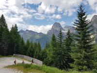 Wandern in Südtirol (Italien) – Dolomiten Wanderreise in Sterzing Astjoch – Sellajoch – Seiser Alm – Gemeinschaftsalm Fane – Burkhardtsklamm – Ratschinger Almenweg – Tatschsp (447)