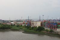 Schottland Island 2017