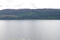 Schottland Island 2017