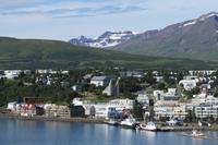 Schottland Island 2017