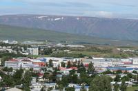 Schottland Island 2017