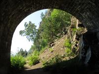 Baikalsee bei Bolschie Koty