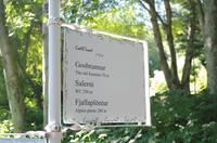 Schottland Island 2017